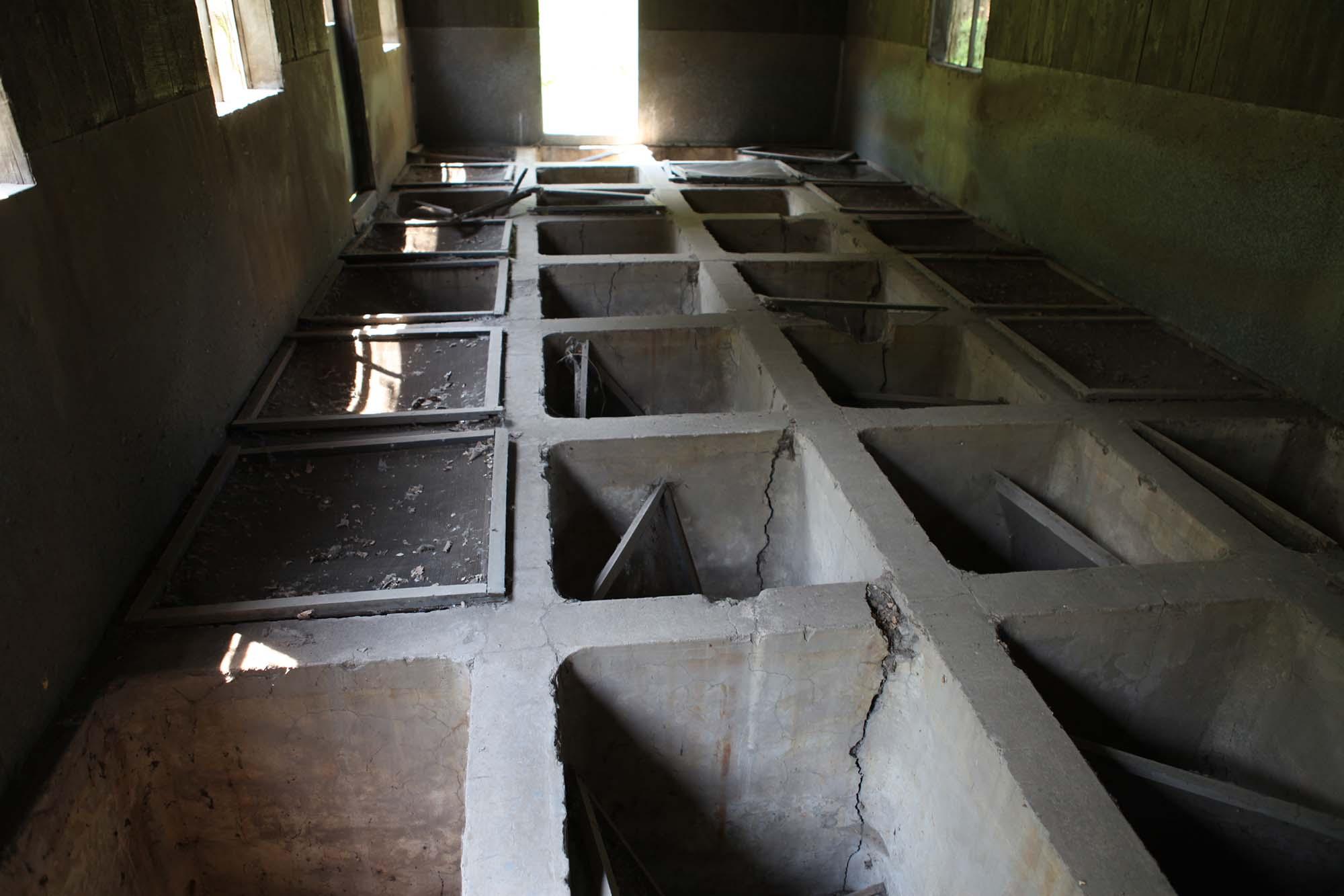 9. 鼠疫实验室养殖场(《魔窟》视频截屏).jpg